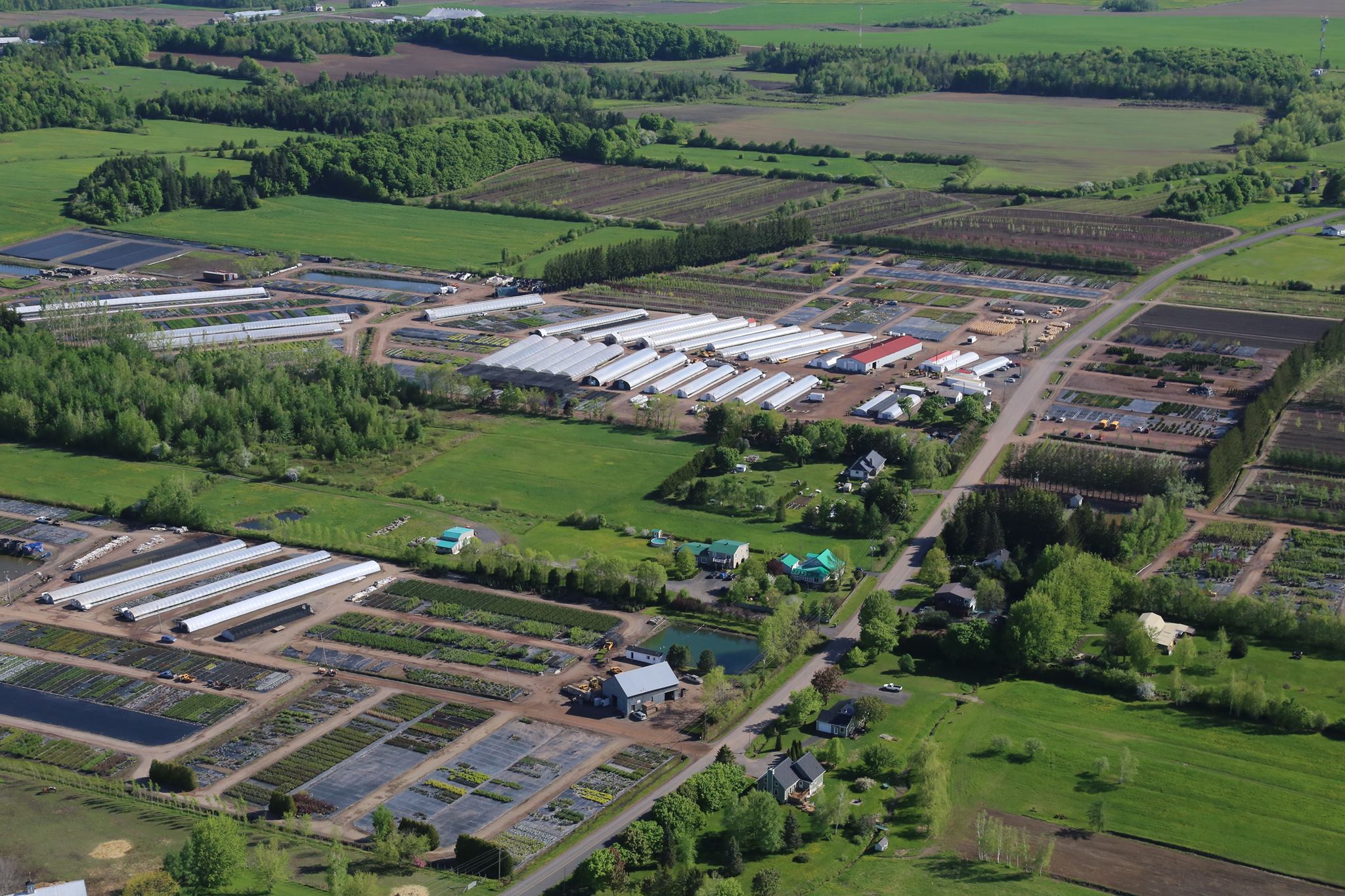 QM Aerial Picture july 2016