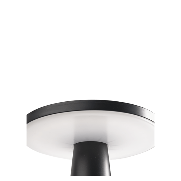 DISC NOIR  2.9 W - Image 4
