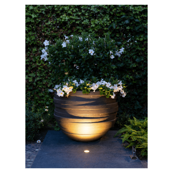Lumière LUNA  3W - Image 6