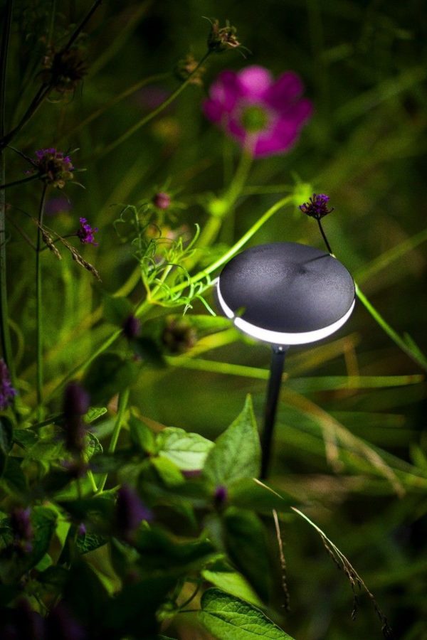 SWAY Lumière Tête  Noir 1W - Image 5