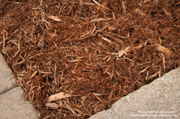 Paillis de cèdre naturel 3pi³ (65/pal)