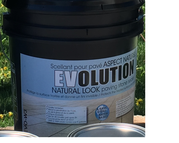 Scellant pour pavé EV aspect Naturel (base eau) 18.9L/5Gal.